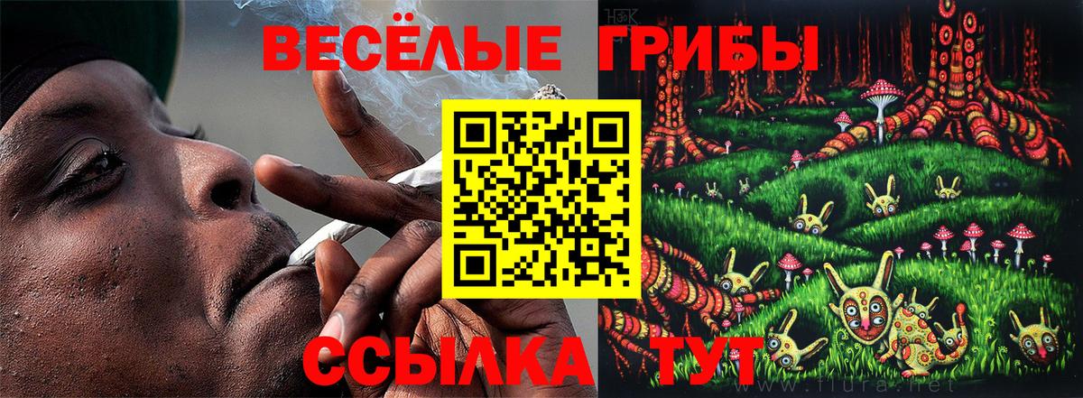 Галлюциногенные грибы GOLDEN TEACHER  Псилоцибиновые грибы GOLDEN TEACHER  Вход с VPN  магазин продажи   Гудермес 